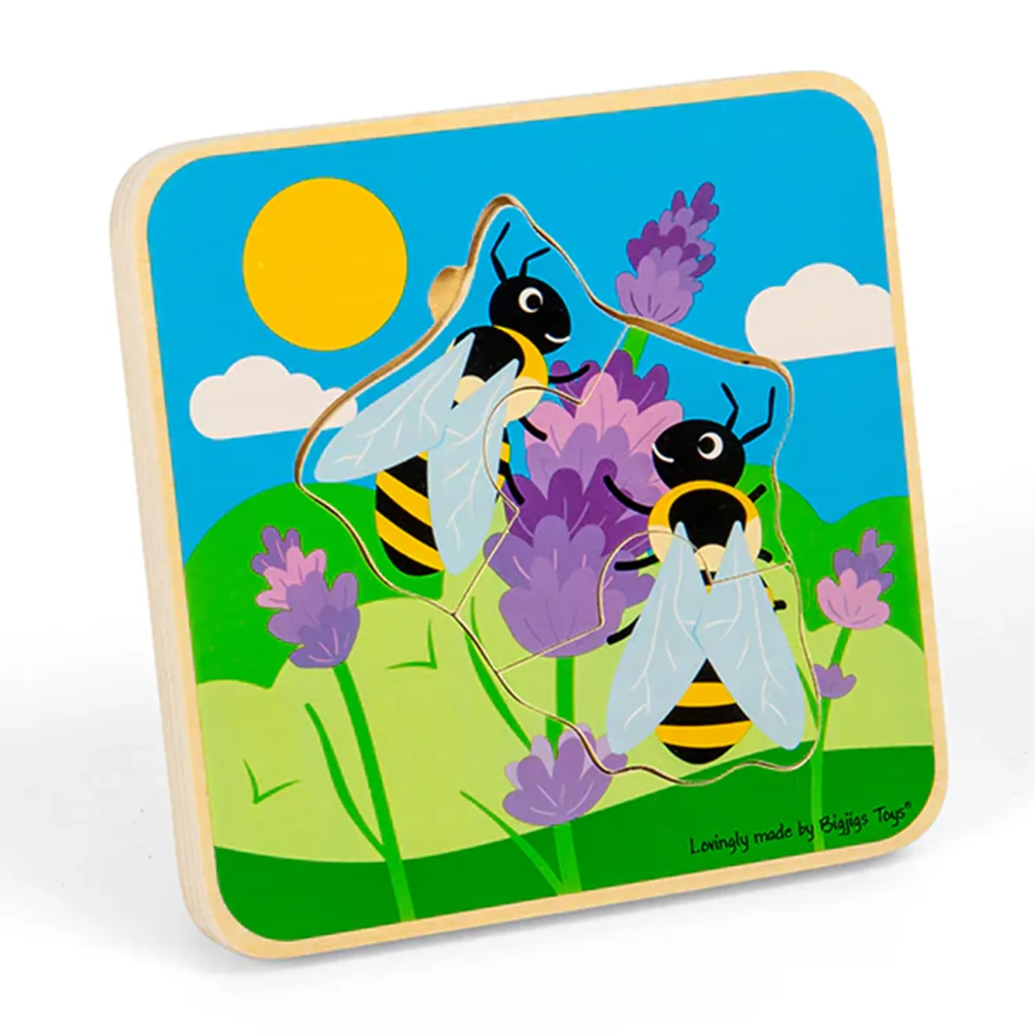 Lifecycle Layer Puzzle