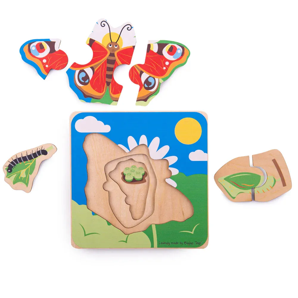 Lifecycle Layer Puzzle