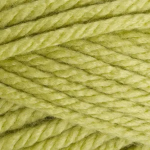 Stylecraft | Special XL Super Chunky | Pistachio 1822