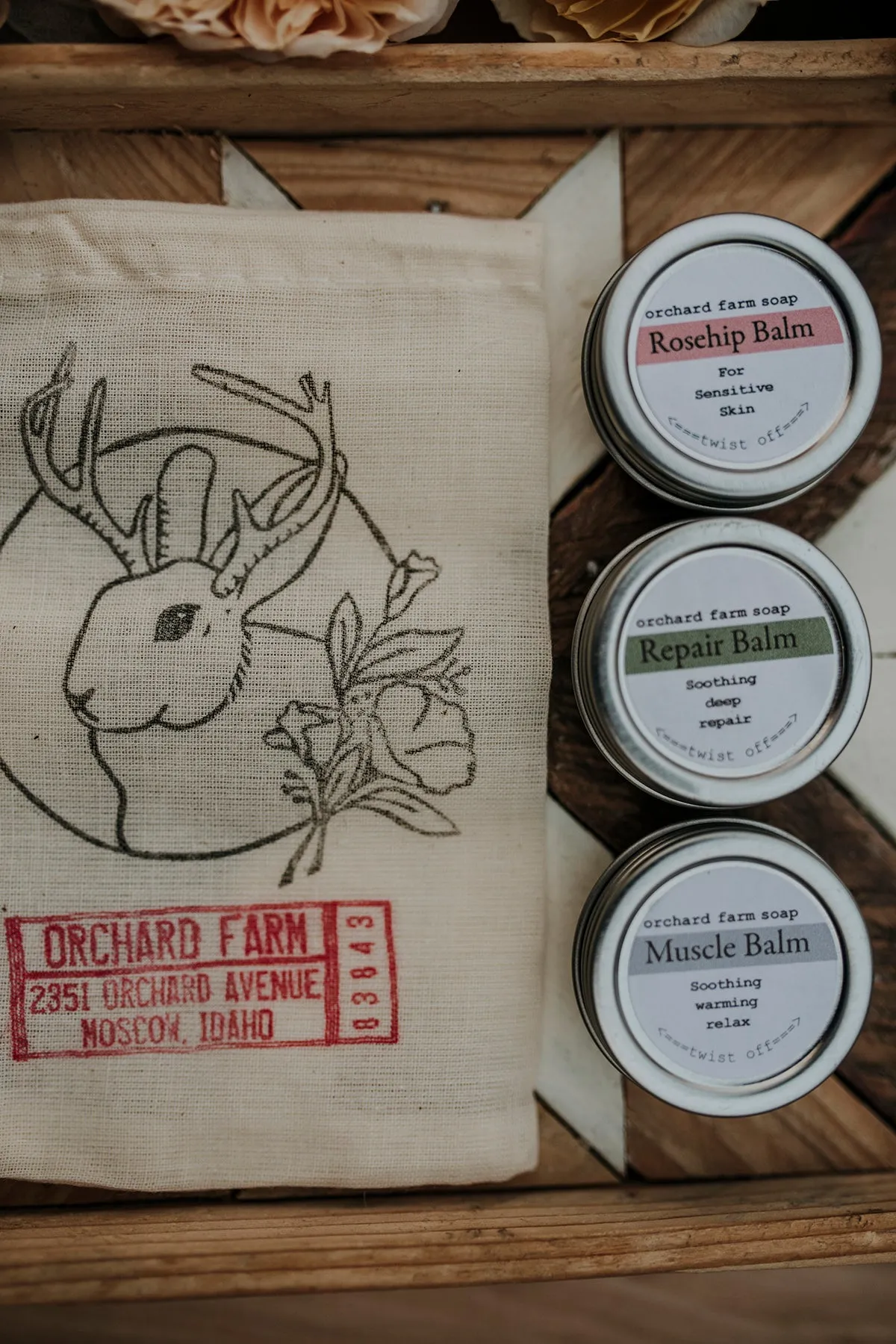 Trio Sample Salve Kit