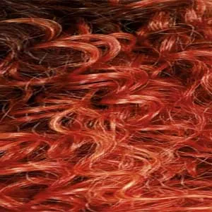 Zury Sis Synthetic Hair Chunky HD Lace Front Wig - ESHE