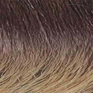 Zury Sis Synthetic Hair Chunky HD Lace Front Wig - ESHE